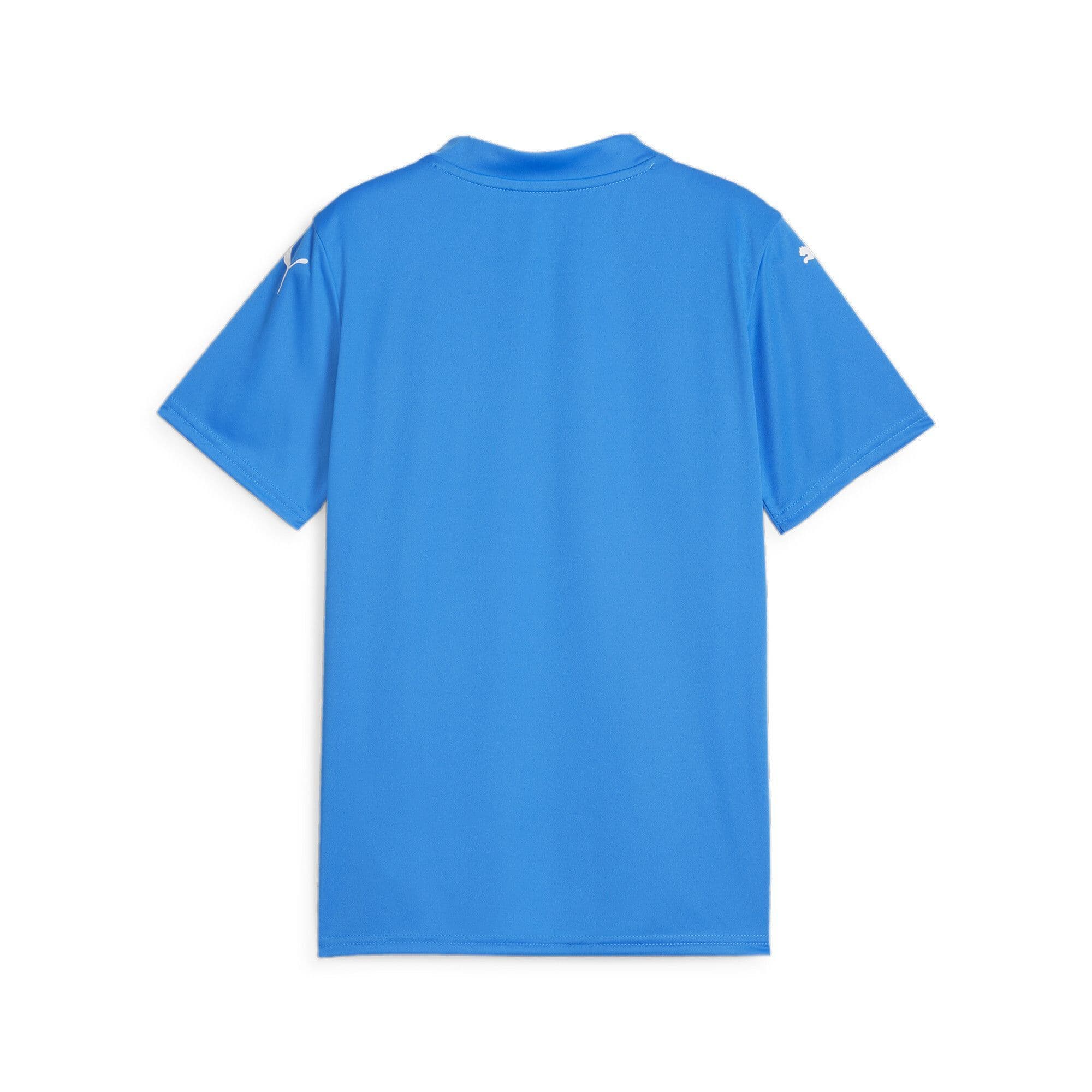Puma teamGLORY Jersey