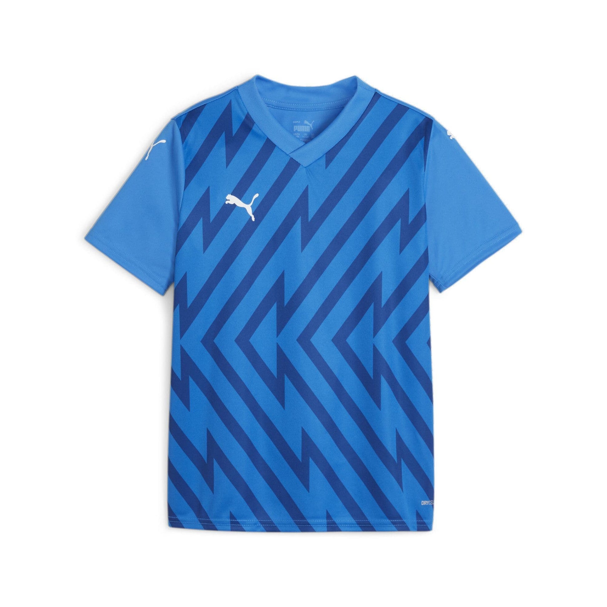 Puma teamGLORY Jersey
