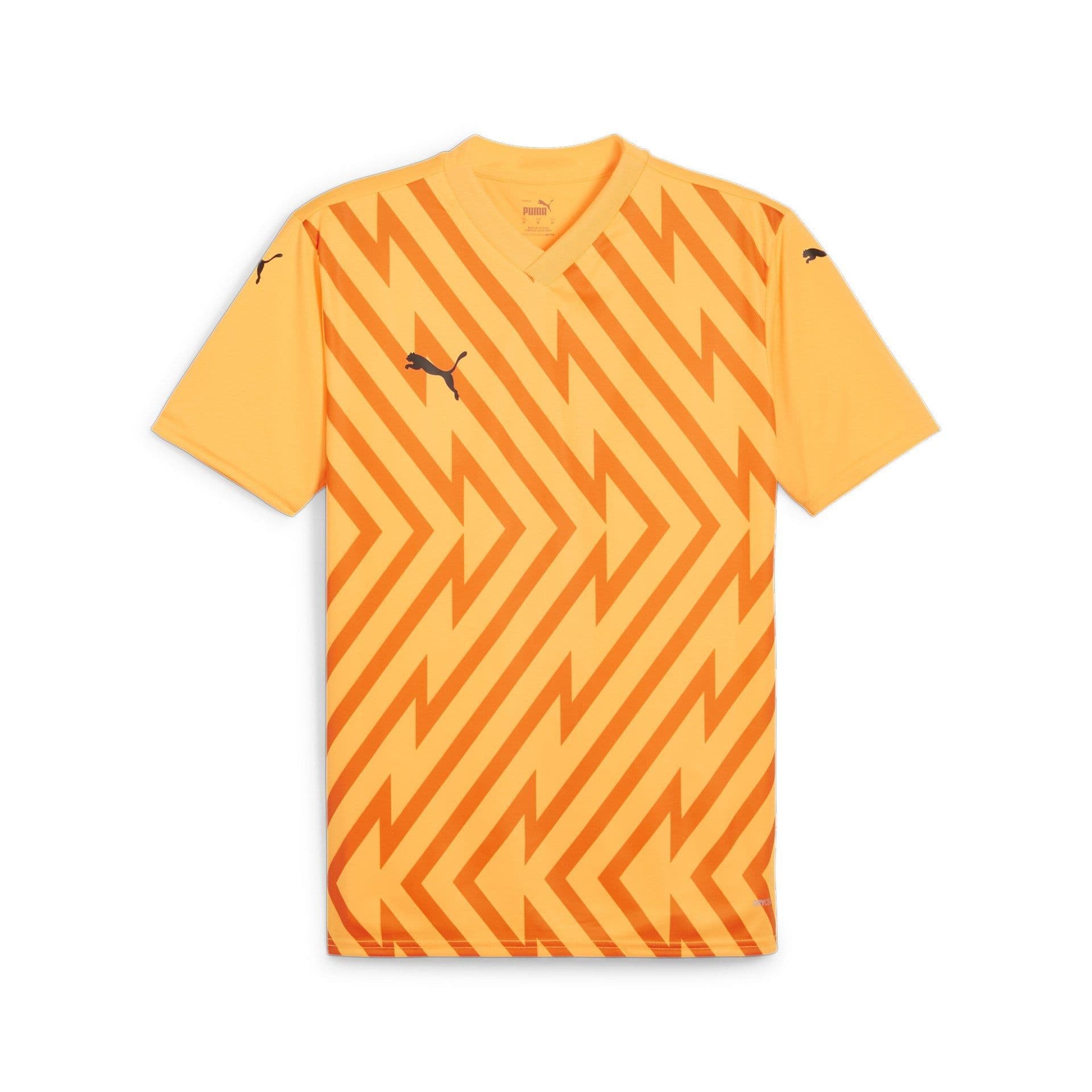 Puma teamGLORY Jersey