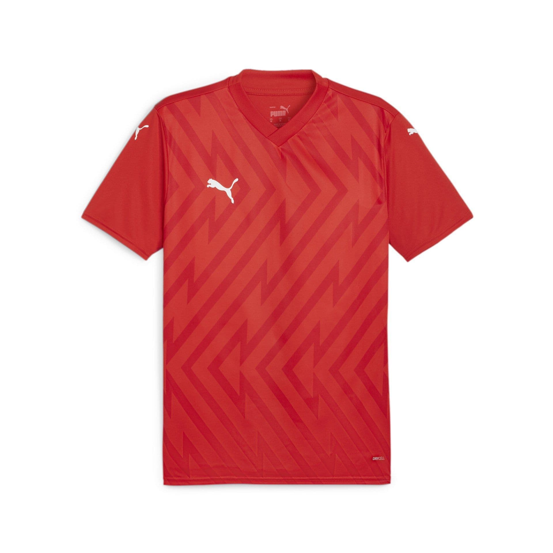 Puma teamGLORY Jersey