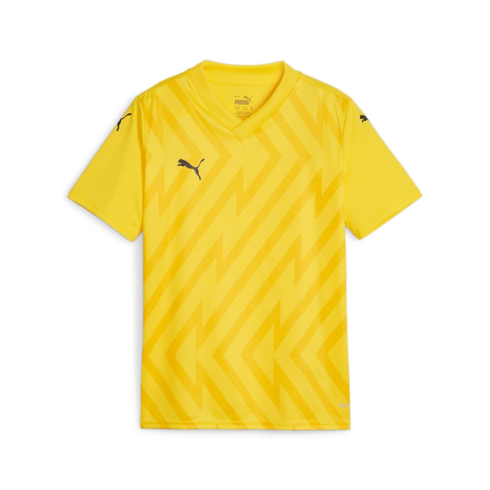 Puma teamGLORY Jersey