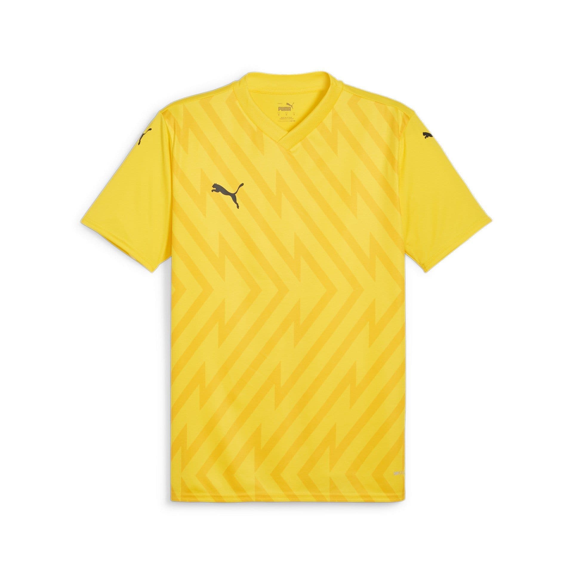 Puma teamGLORY Jersey
