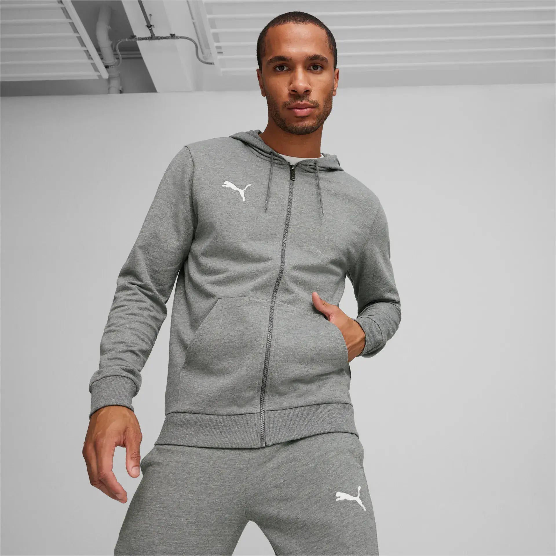 Puma teamGOAL Casuals Hooded Jacket