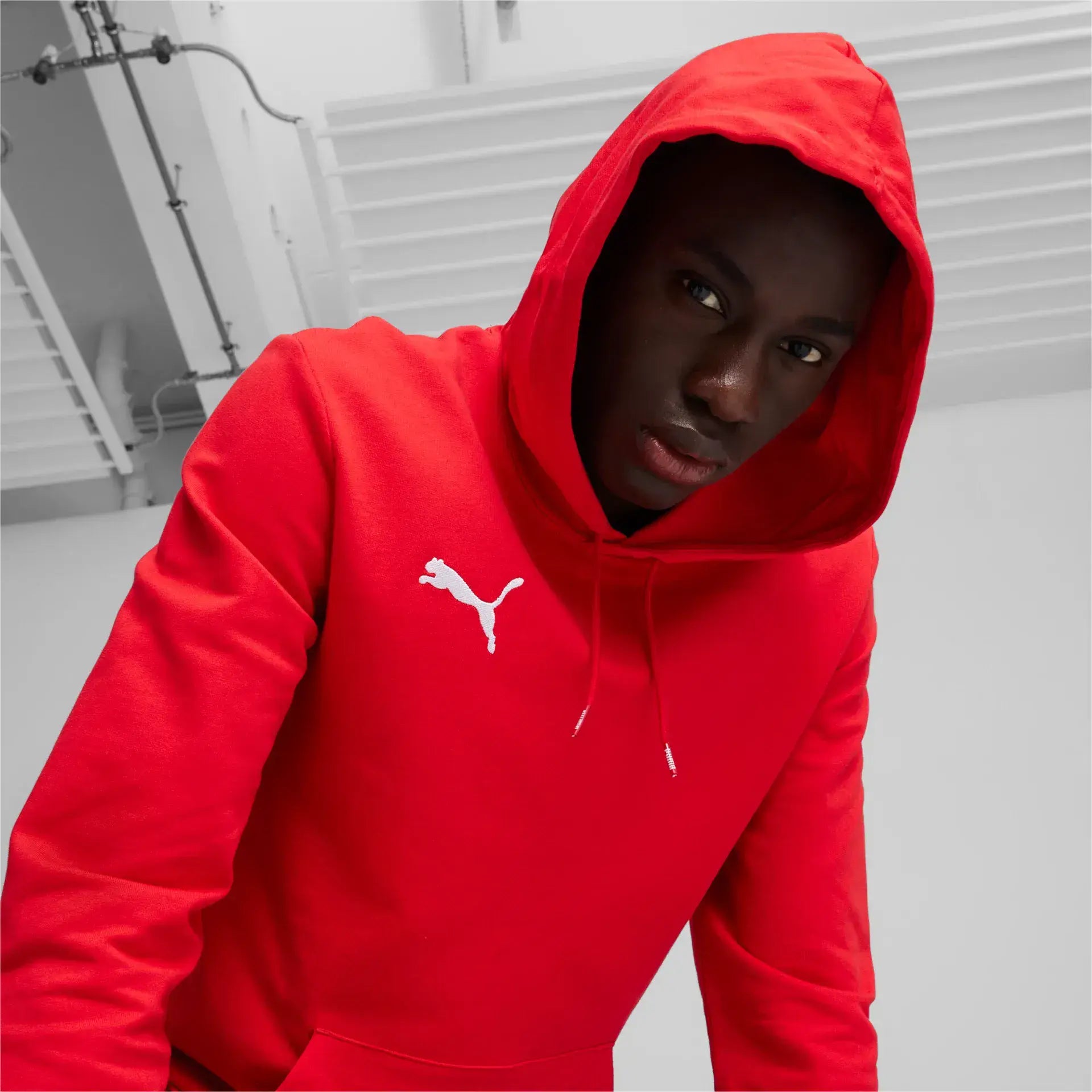 Puma teamGOAL Casuals Hoody