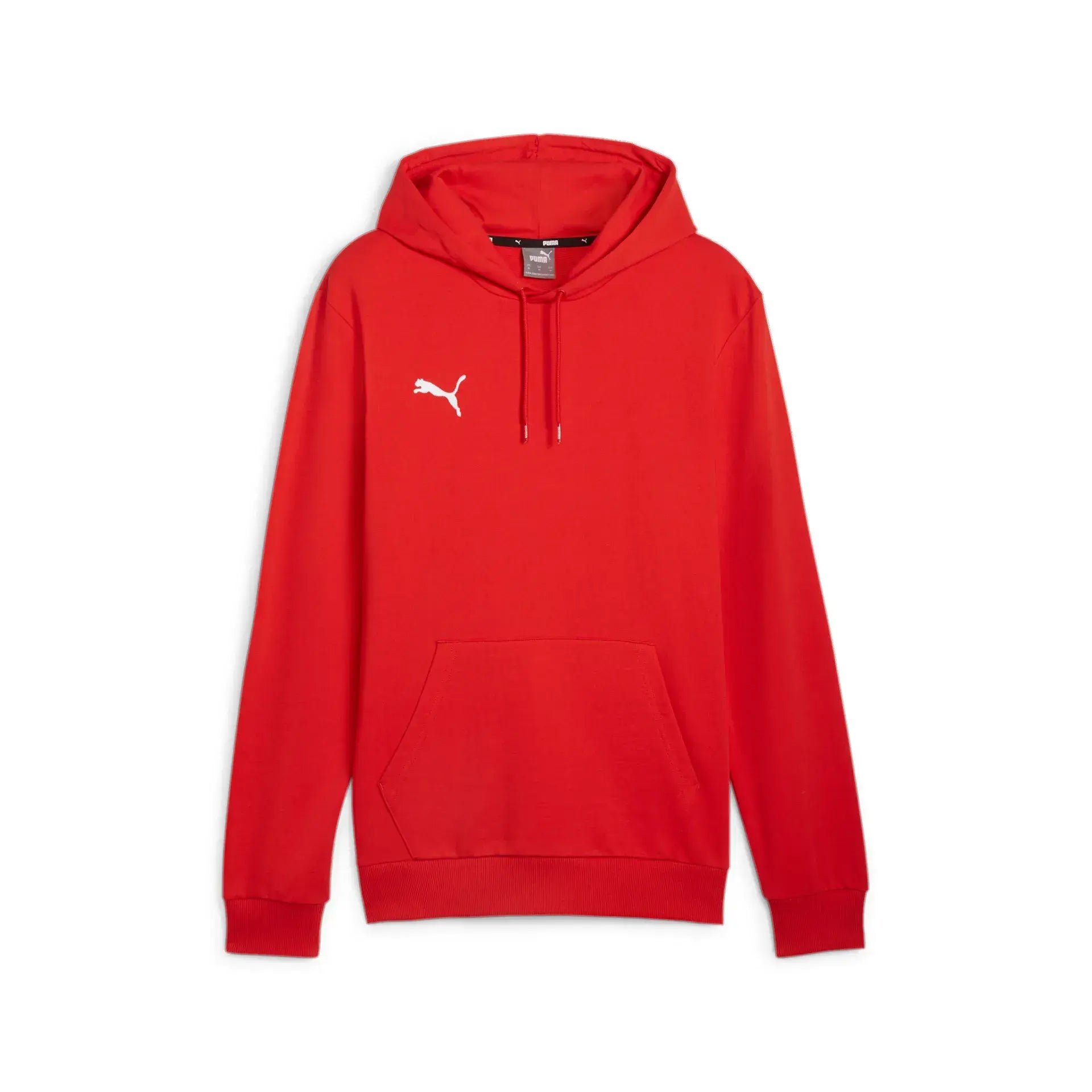 Puma teamGOAL Casuals Hoody