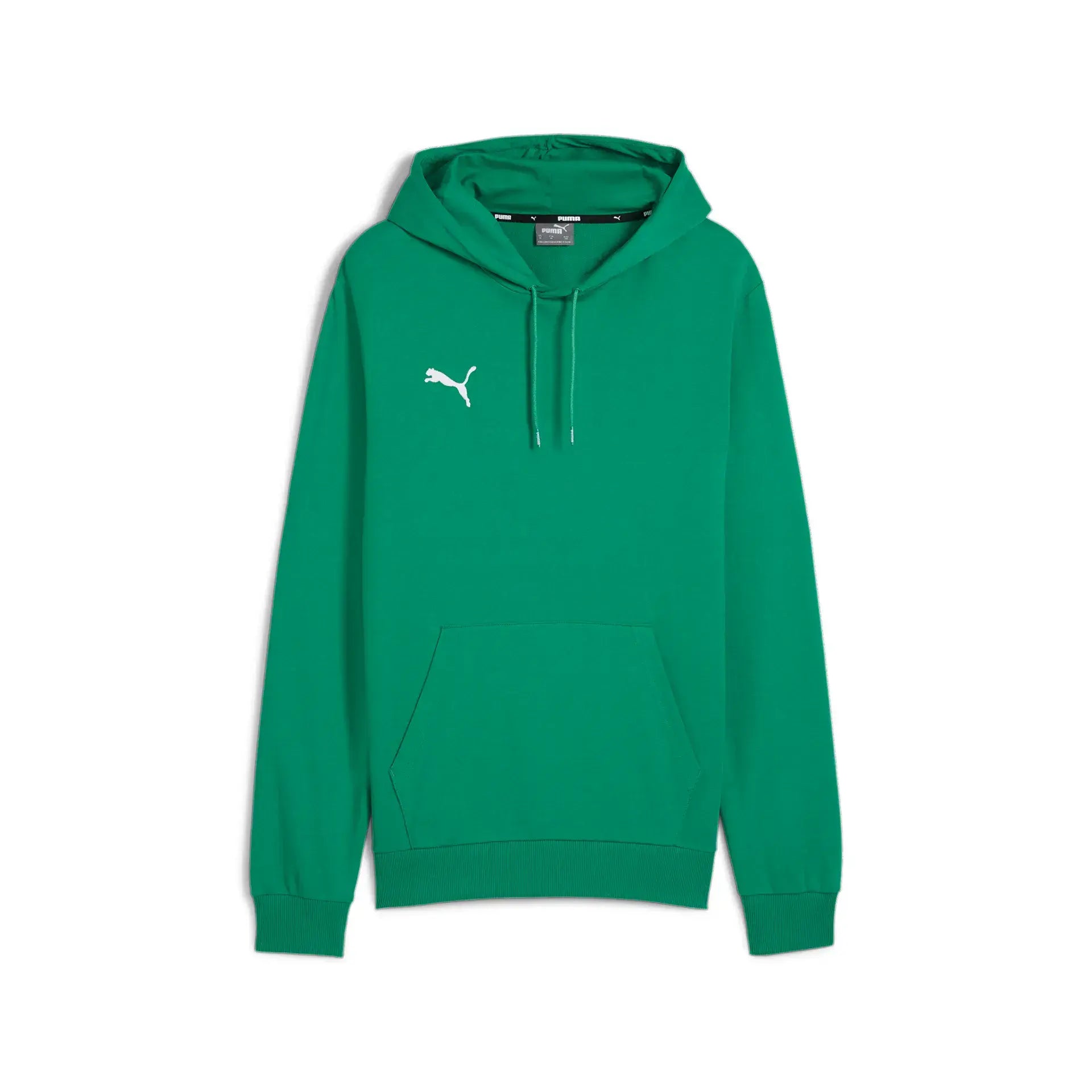 Puma teamGOAL Casuals Hoody