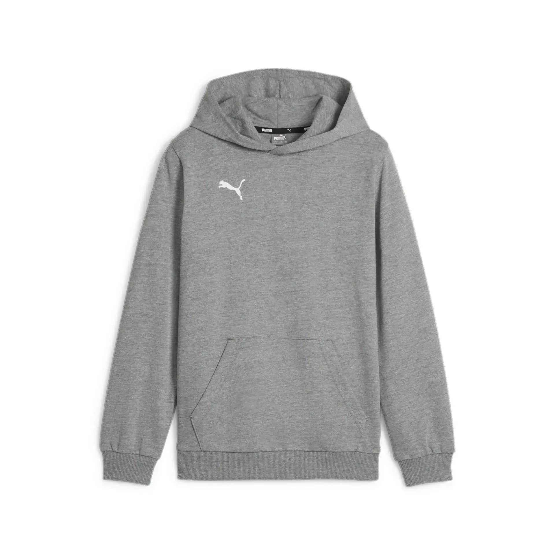 Puma teamGOAL Casuals Hoody Junior