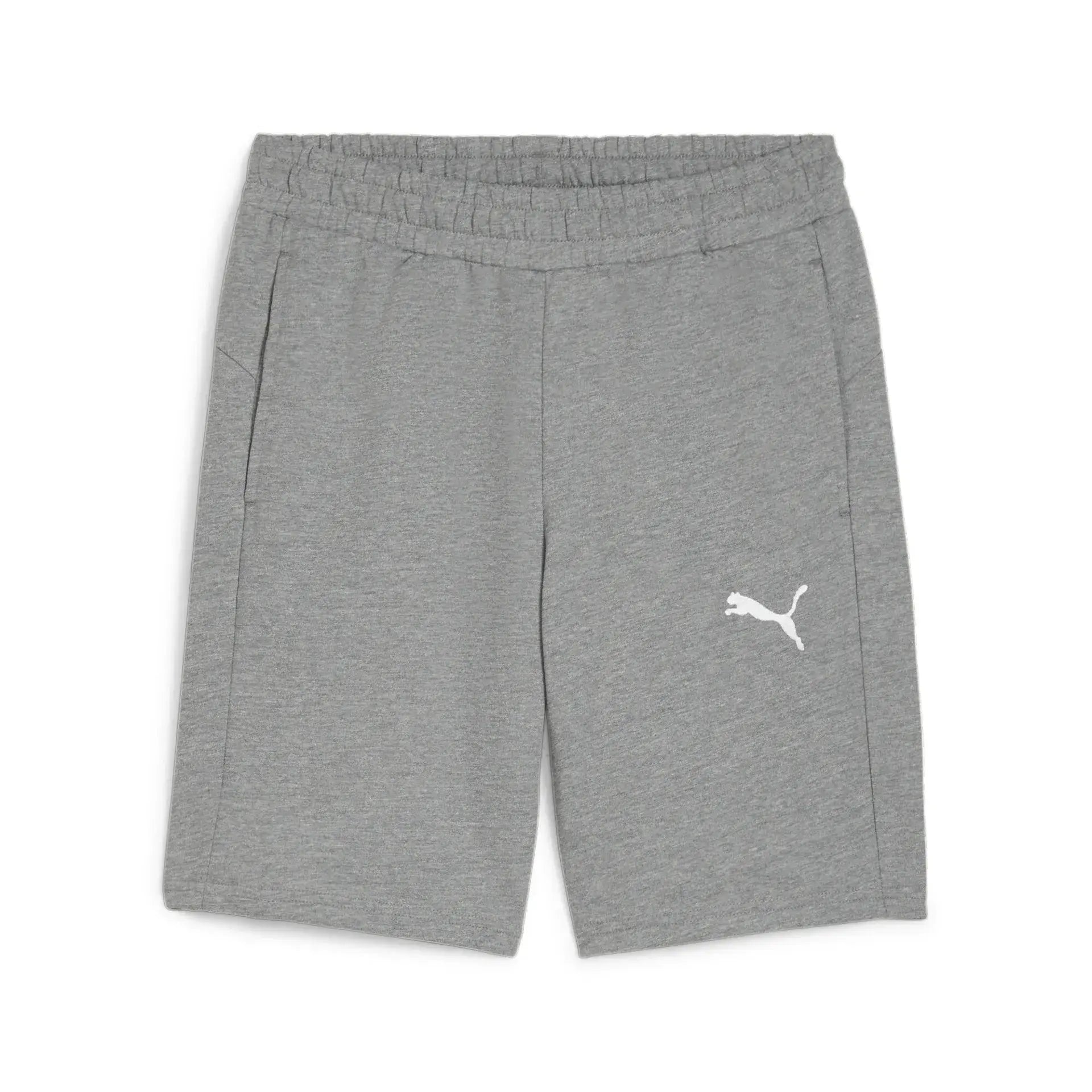 Puma teamGOAL Casuals Shorts Junior