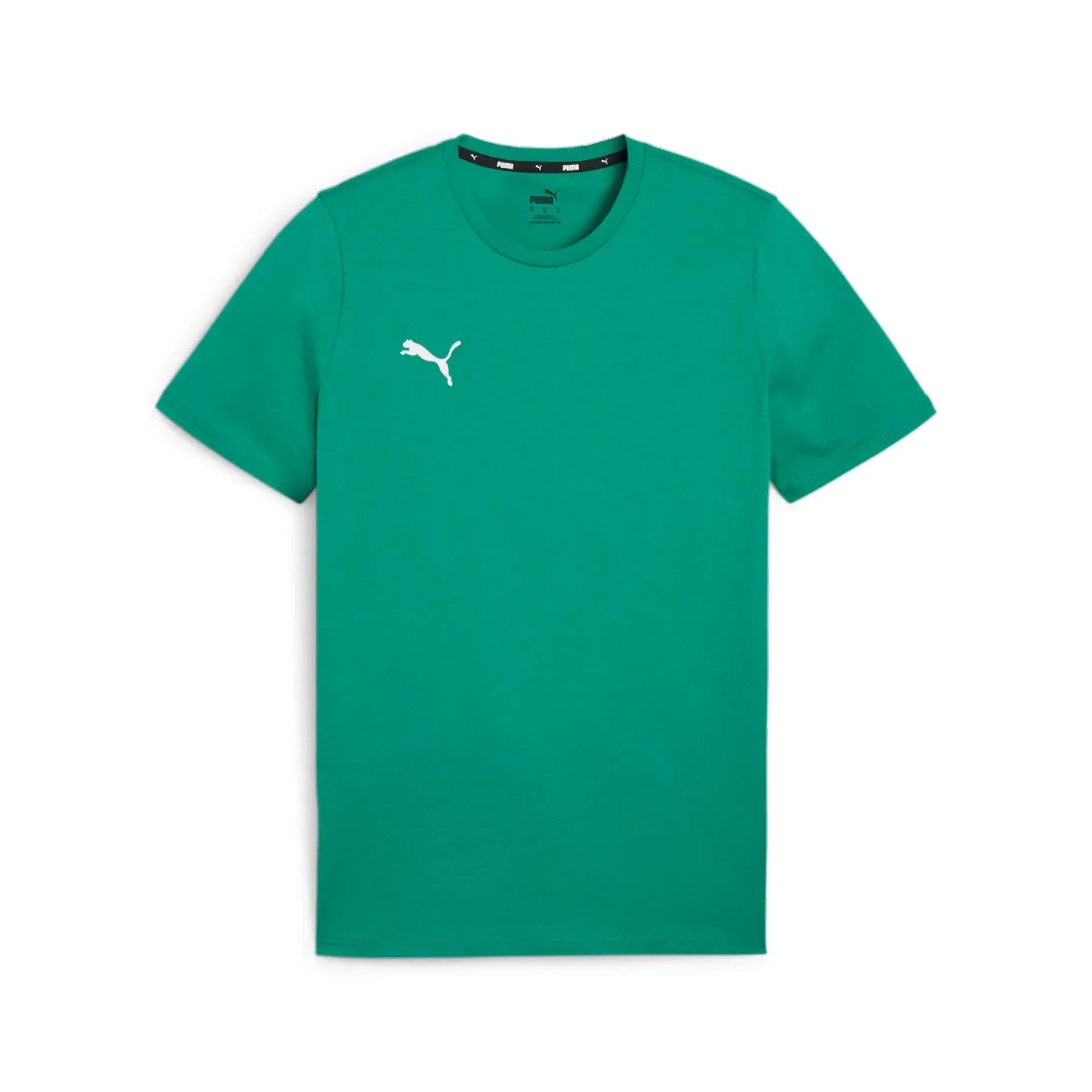 Puma teamGOAL Casuals Tee