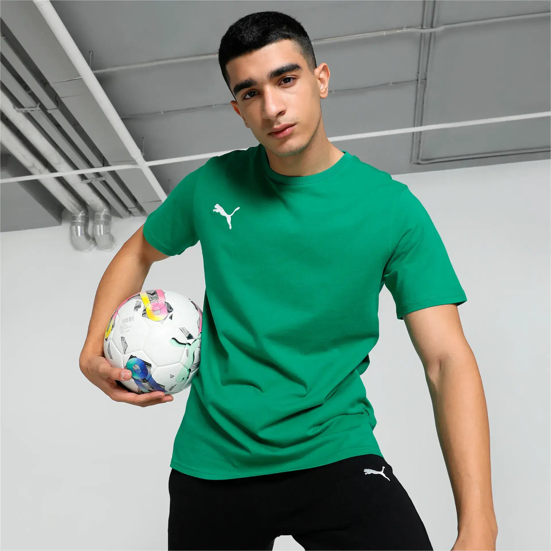 Puma teamGOAL Casuals Tee