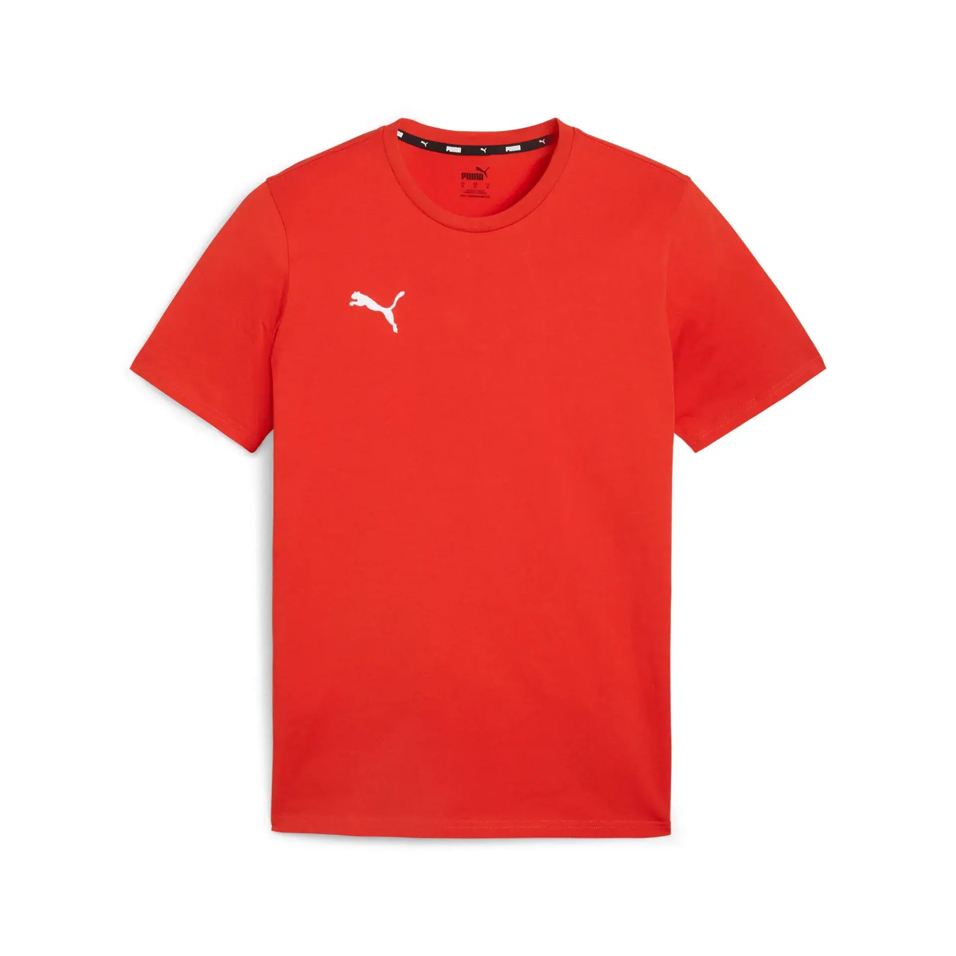 Puma teamGOAL Casuals Tee