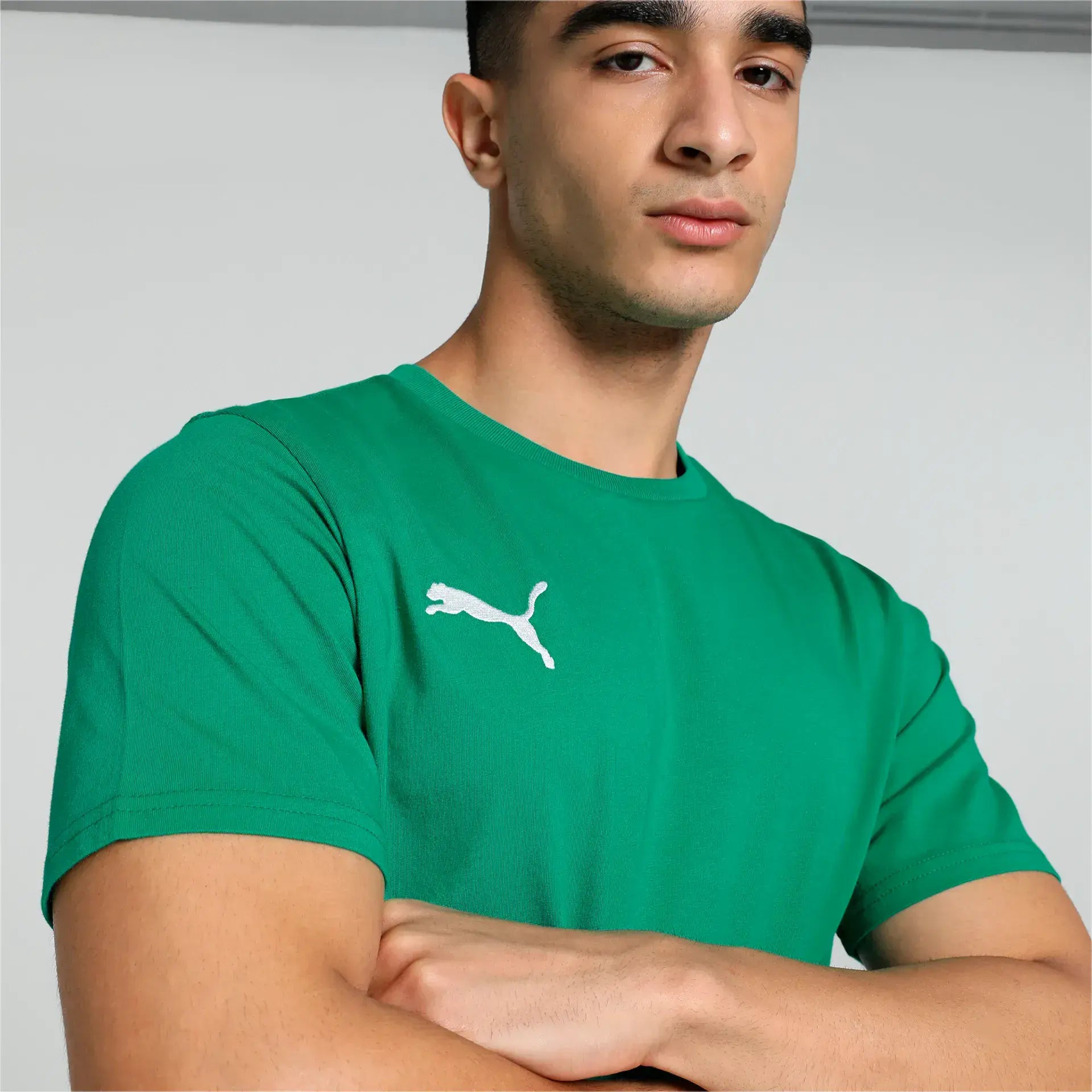 Puma teamGOAL Casuals Tee Junior
