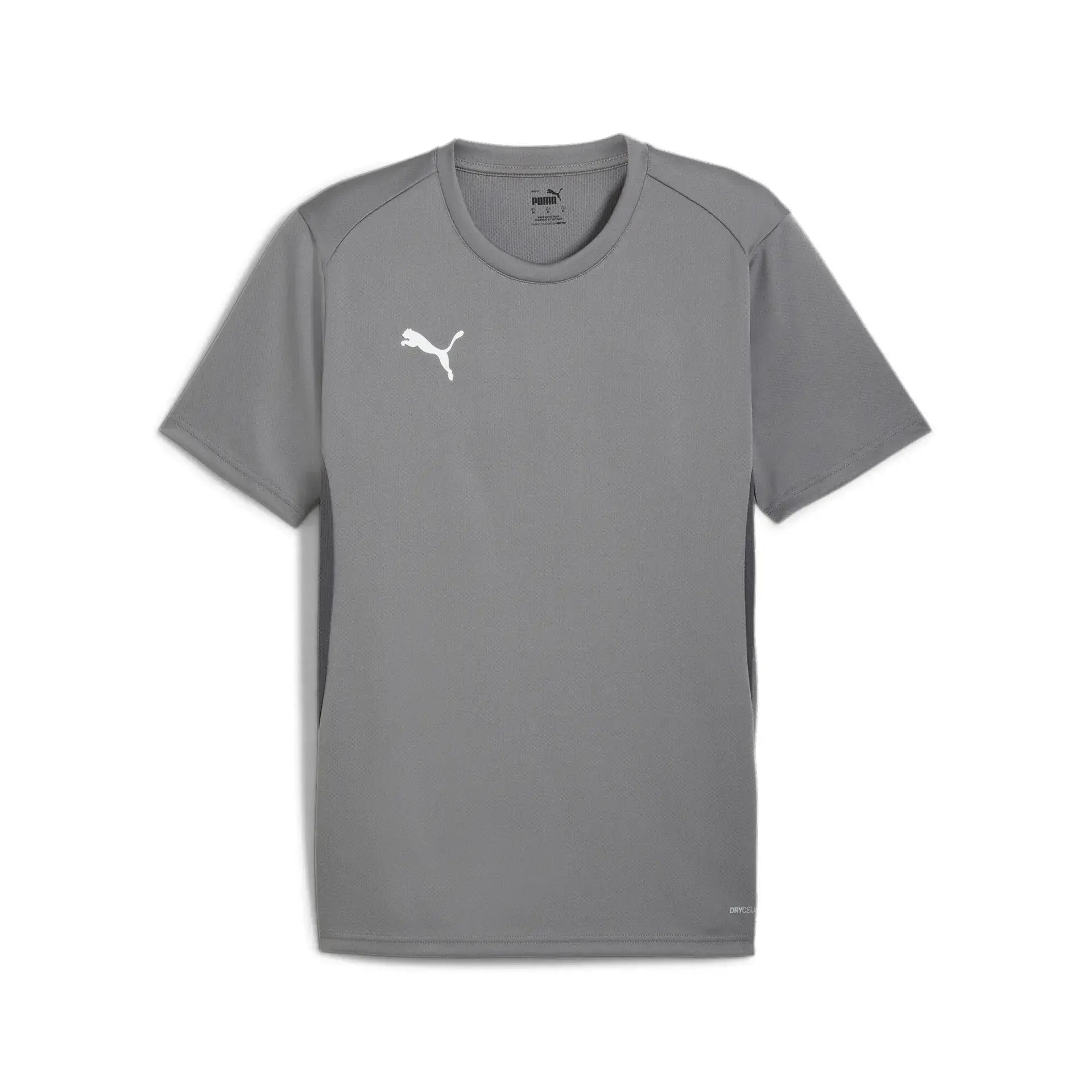 Puma teamGOAL Jersey