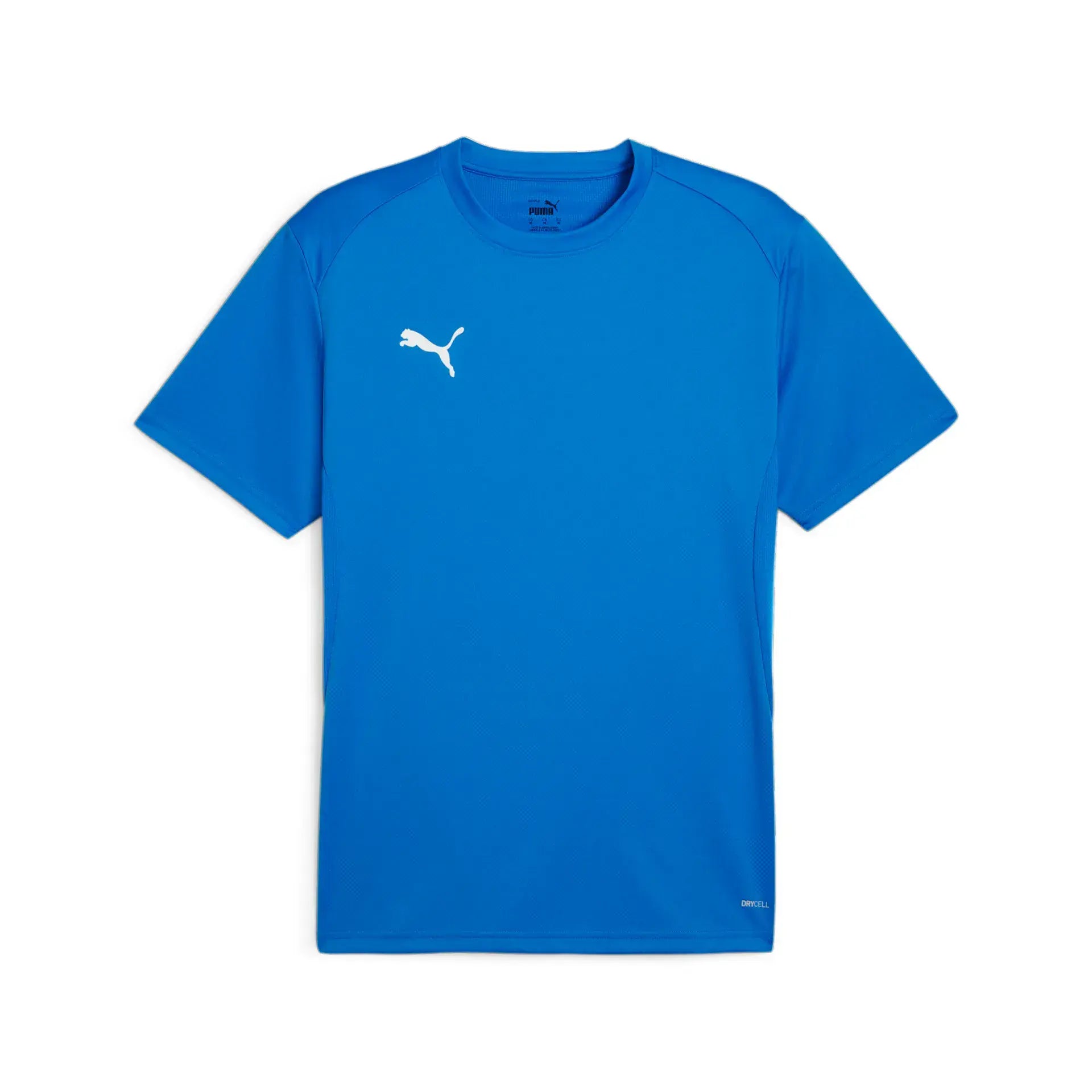 Puma teamGOAL Jersey