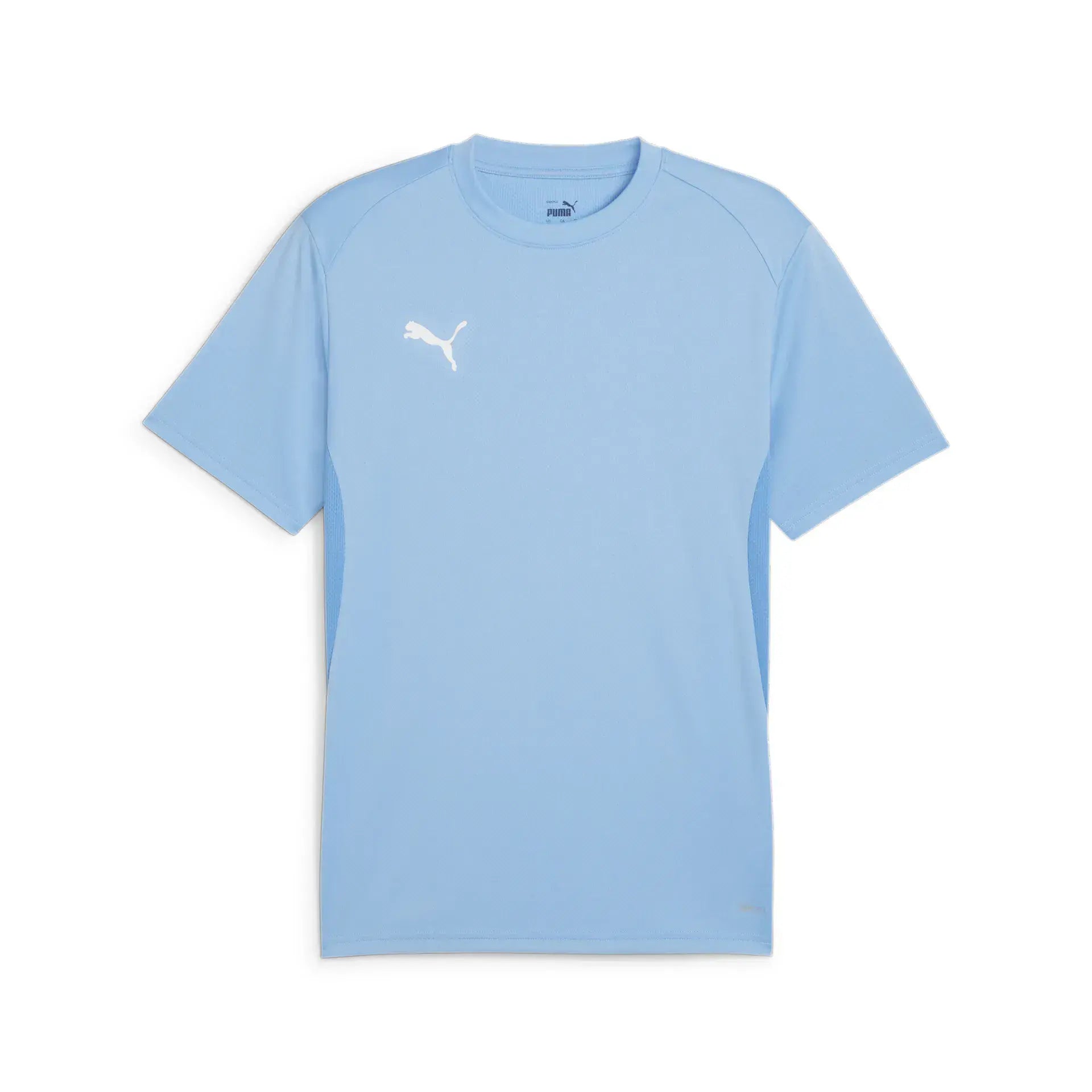 Puma teamGOAL Jersey Junior