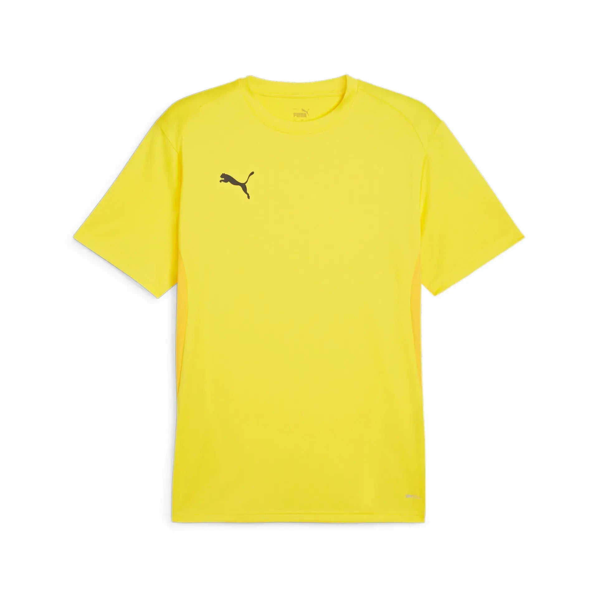 Puma teamGOAL Jersey Junior