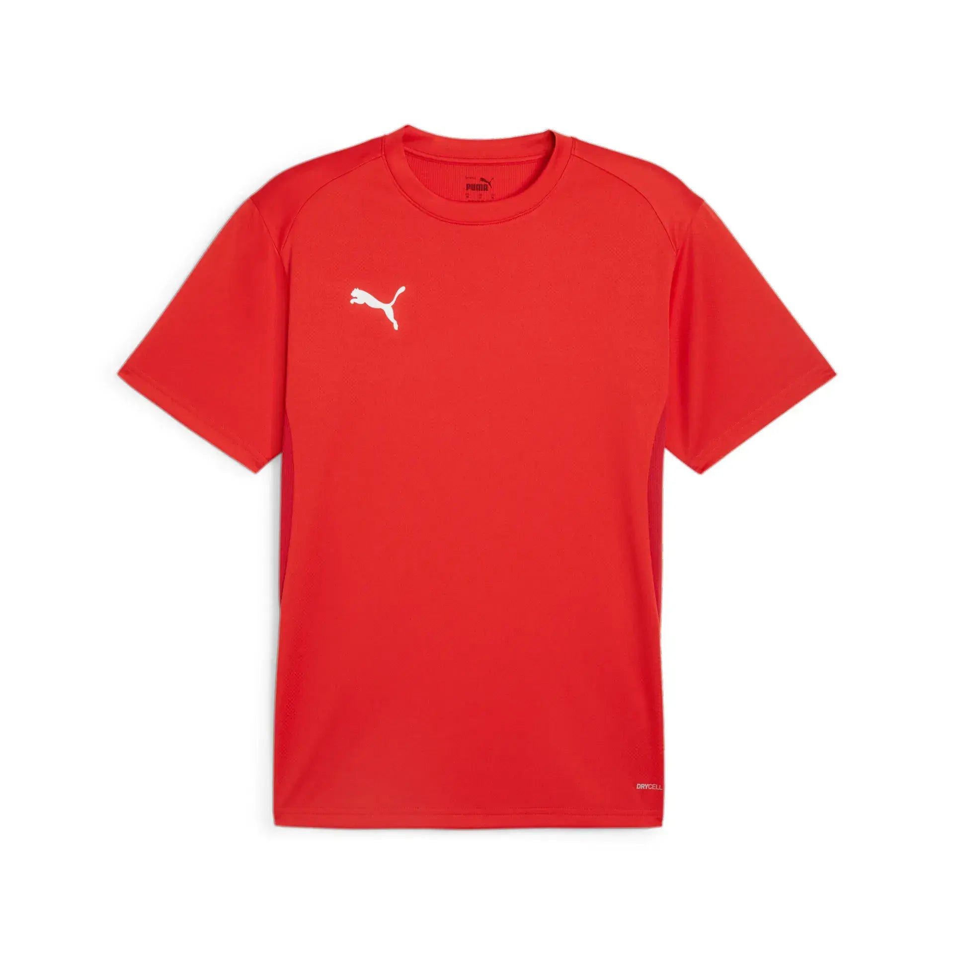 Puma teamGOAL Jersey Junior