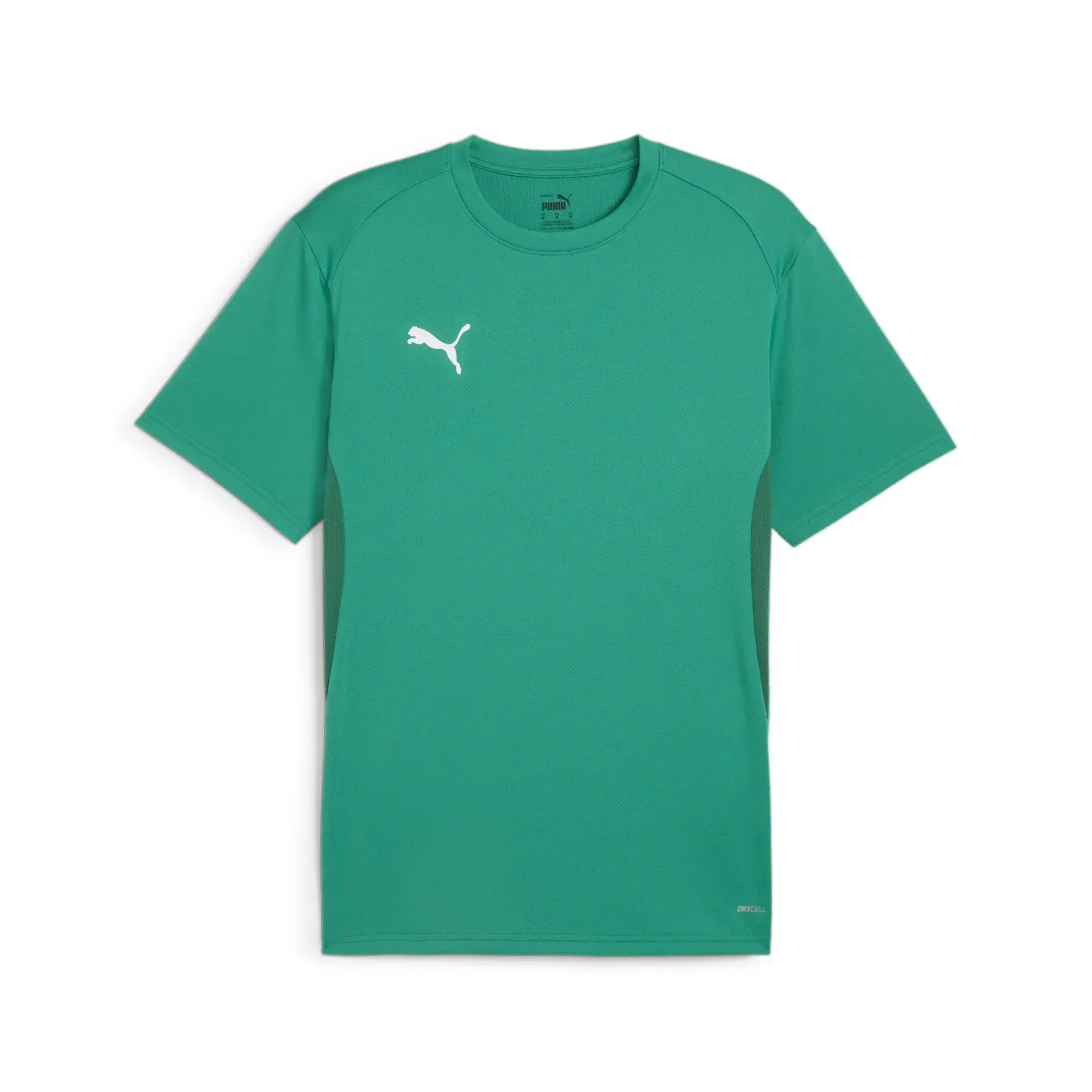Puma teamGOAL Jersey Junior
