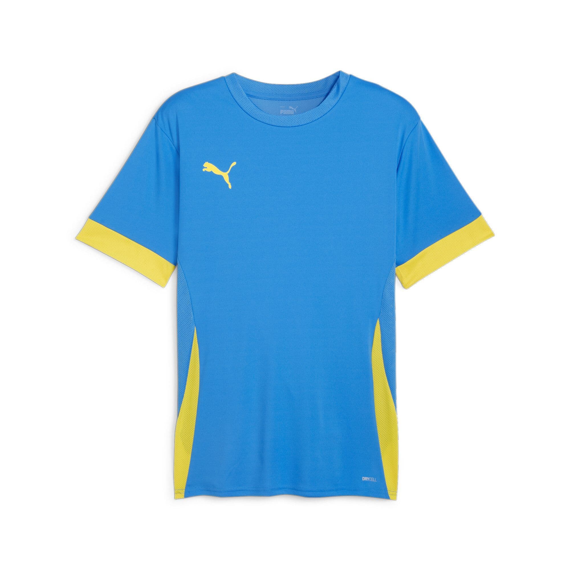 Puma teamGOAL Matchday Jersey