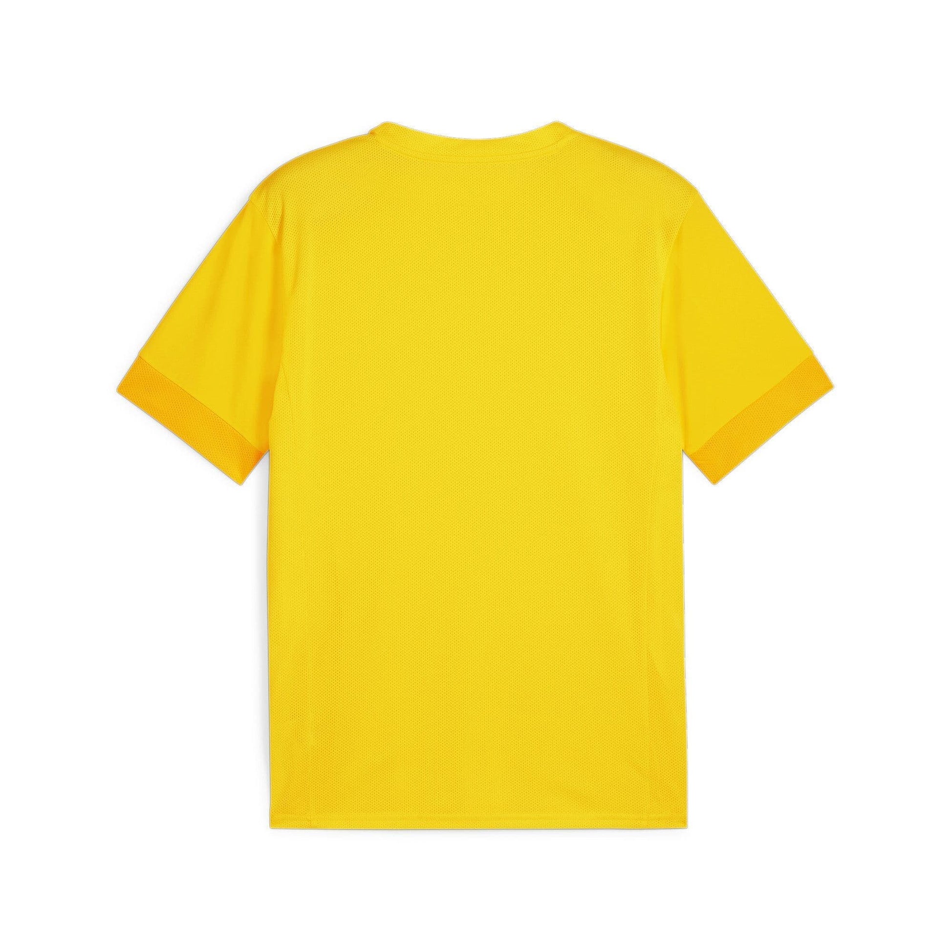 Puma teamGOAL Matchday Jersey