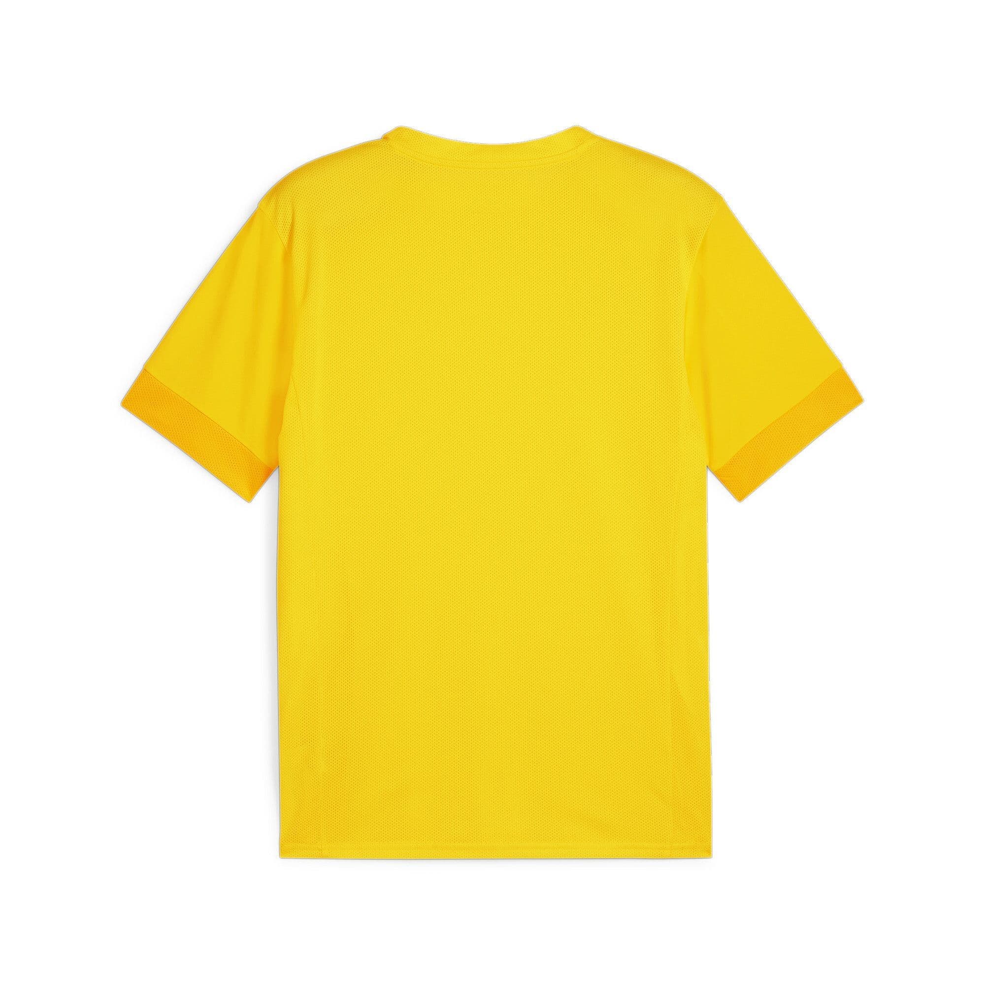 Puma teamGOAL Matchday Jersey