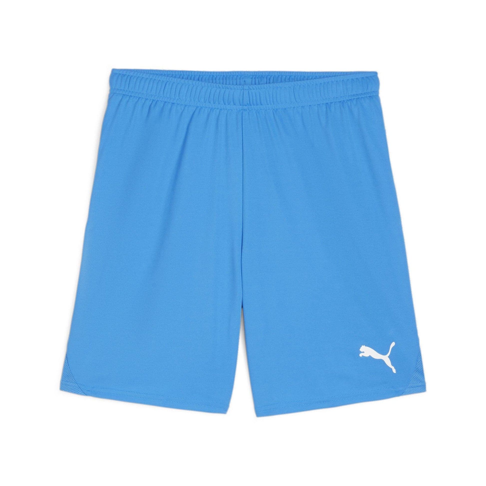 Puma teamGOAL Shorts