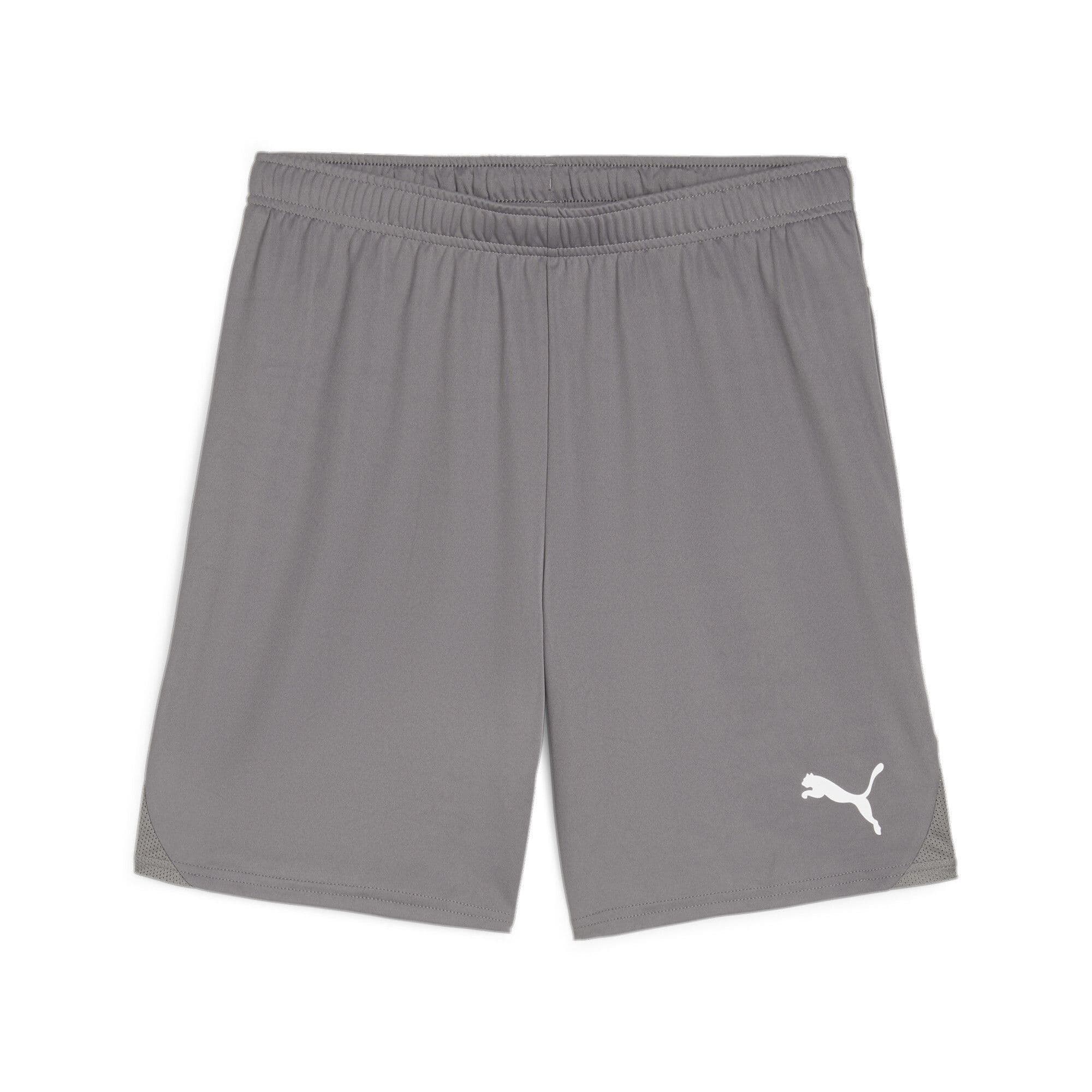 Puma teamGOAL Shorts