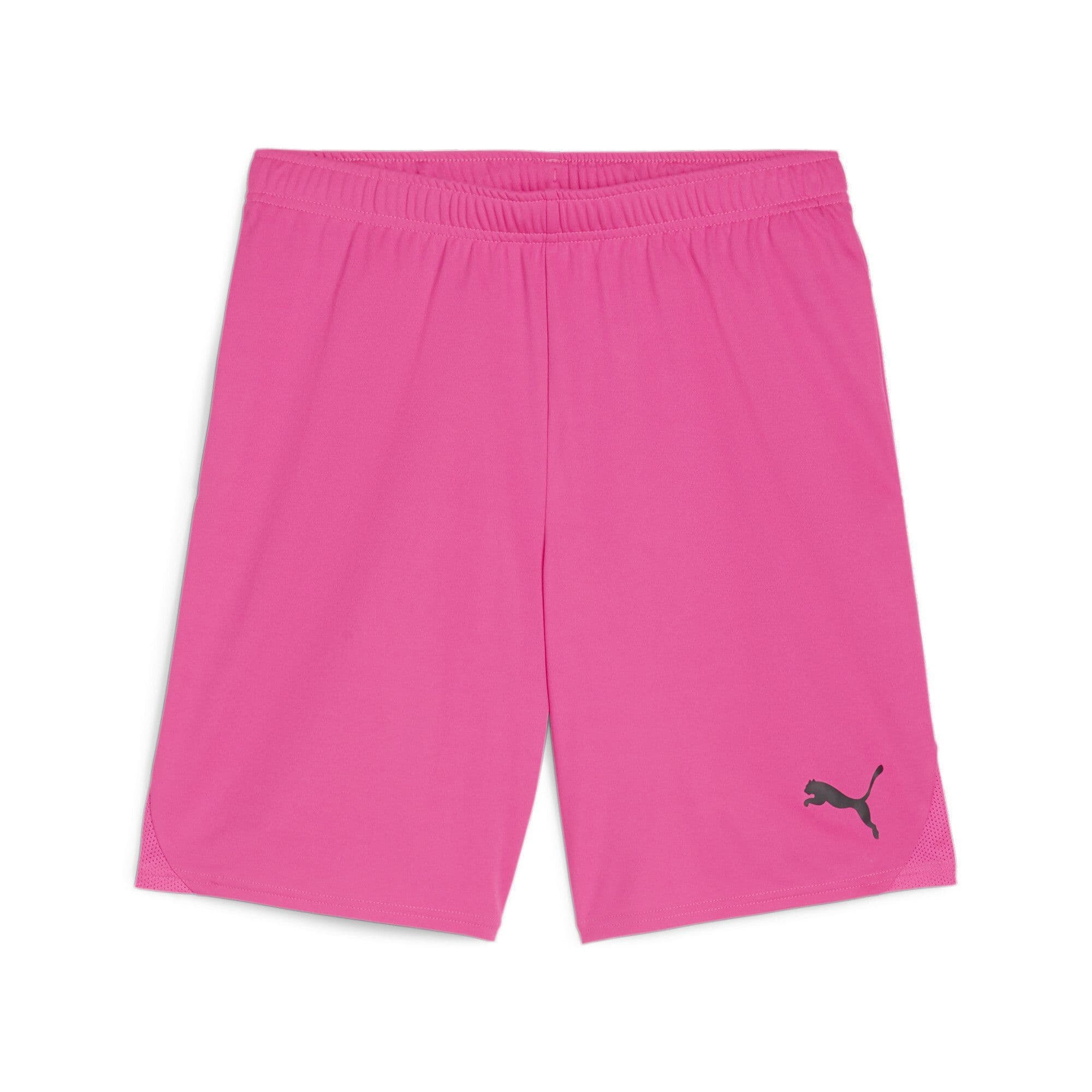 Puma teamGOAL Shorts