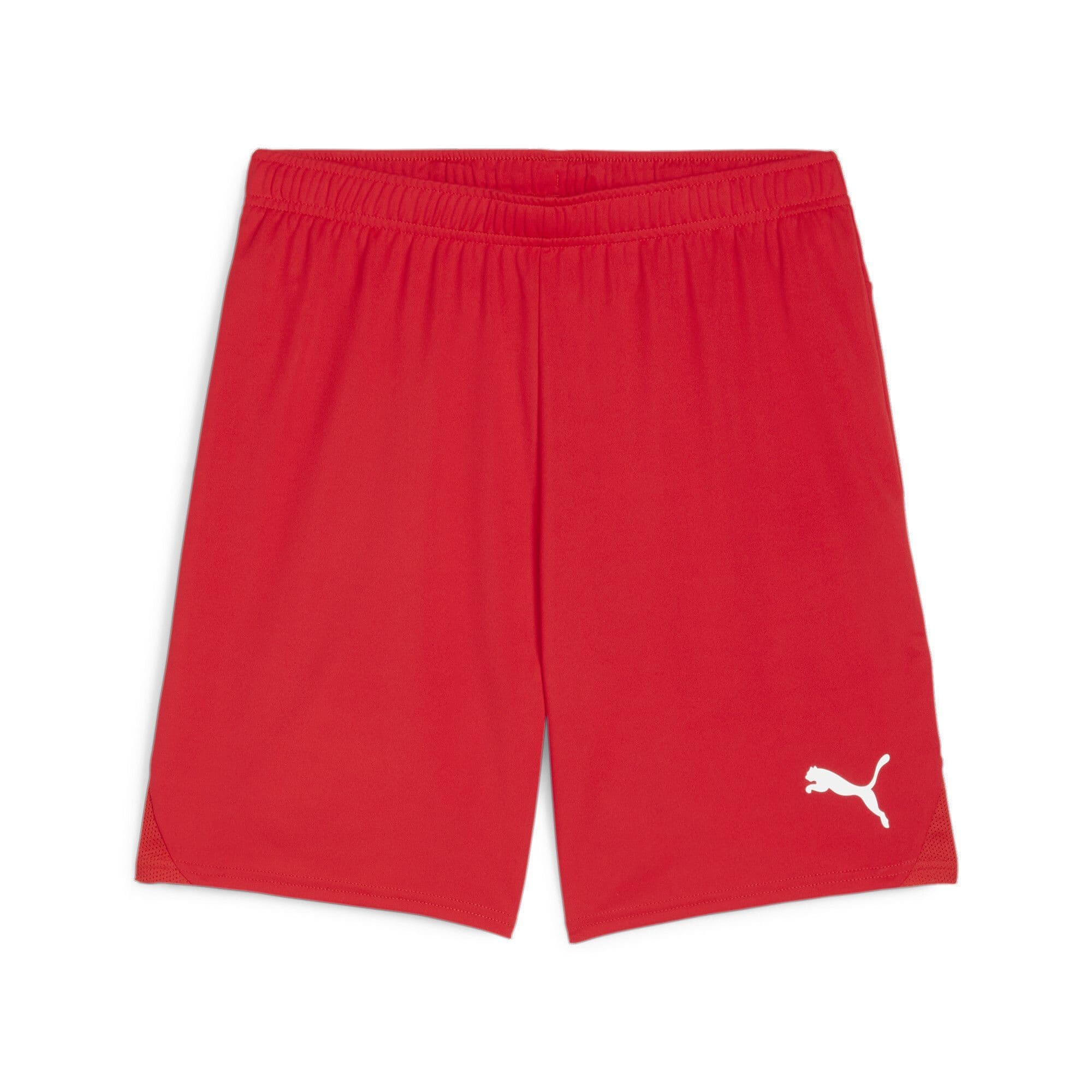 Puma teamGOAL Shorts