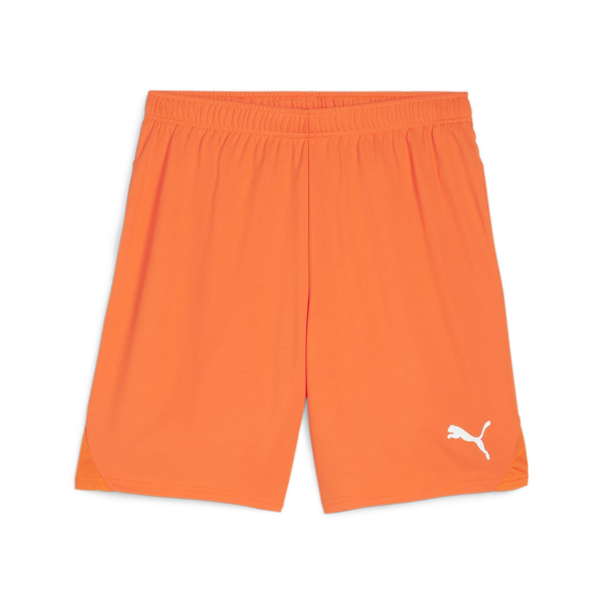Puma teamGOAL Shorts