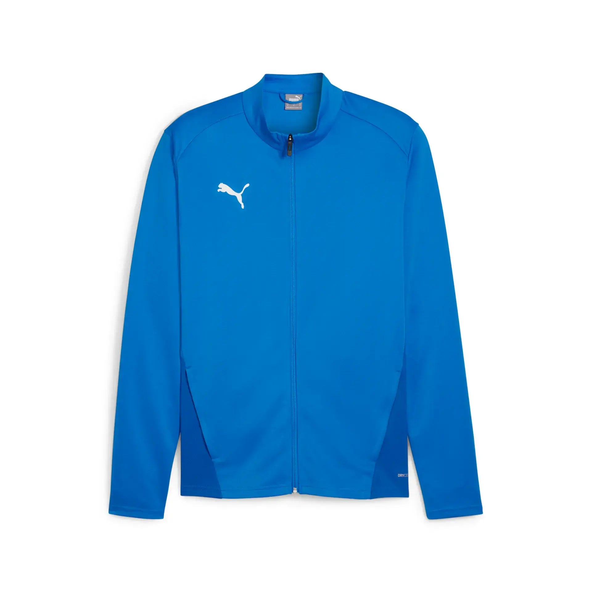 Puma teamGOAL Training Jacket