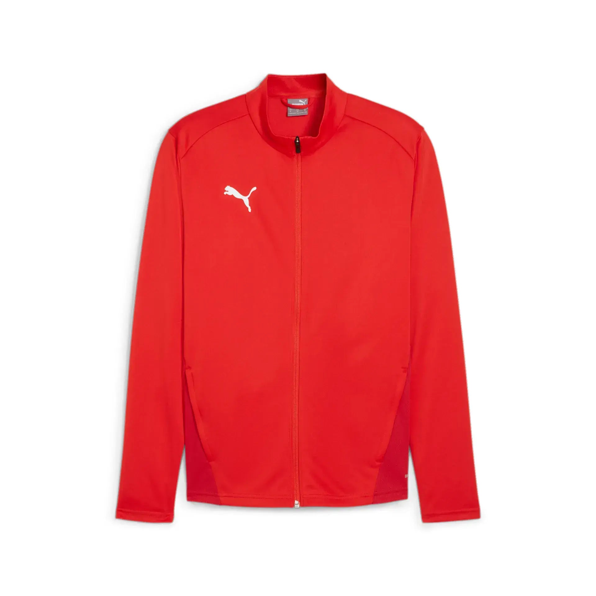 Puma teamGOAL Training Jacket