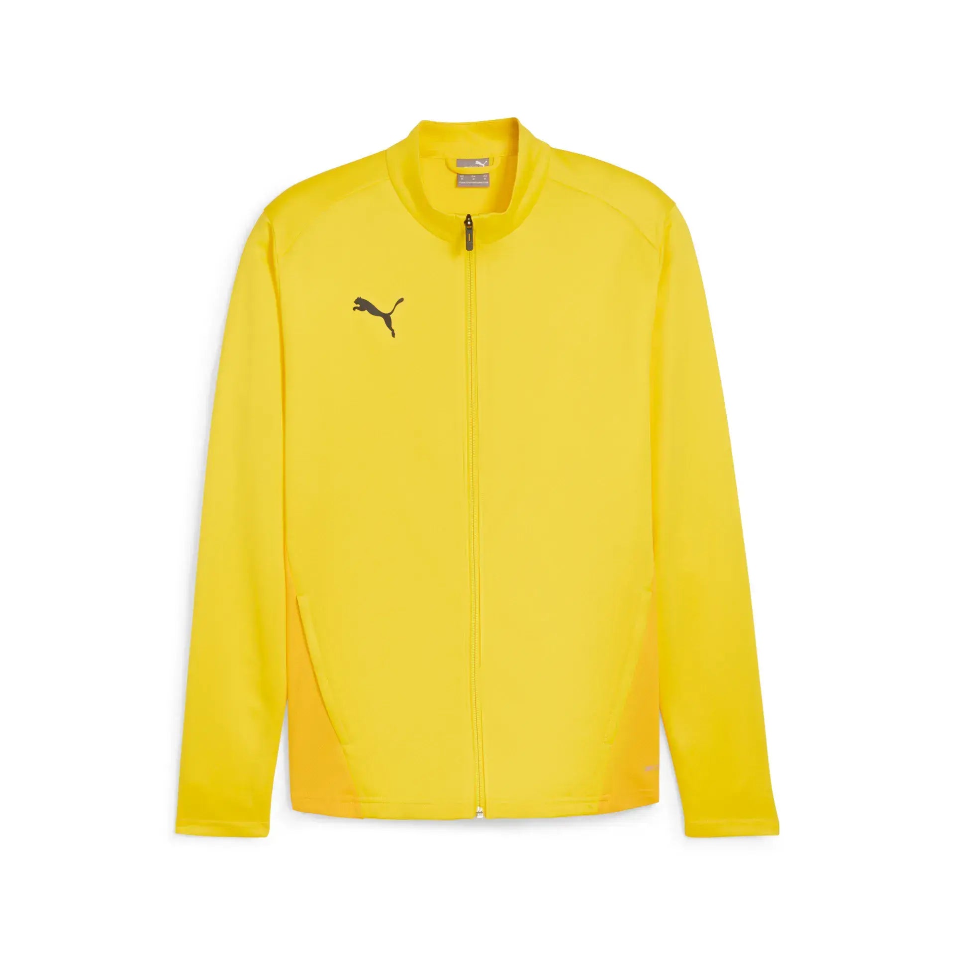 Puma teamGOAL Training Jacket Junior