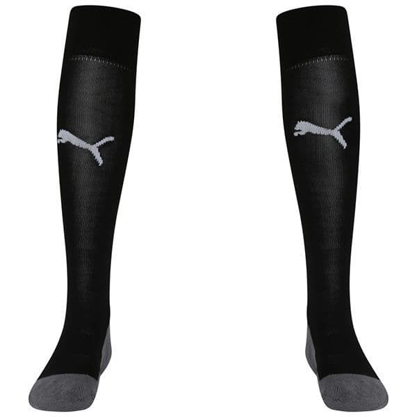 Puma teamLIGA Core Socks