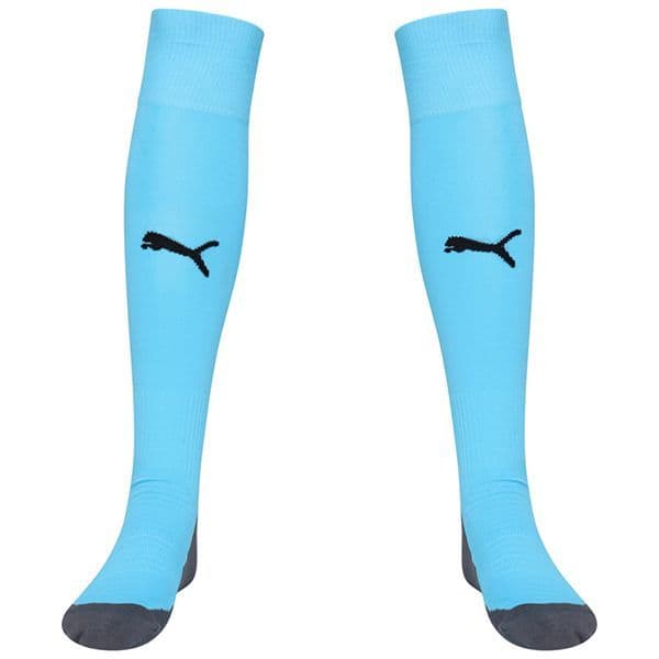 Puma teamLIGA Core Socks