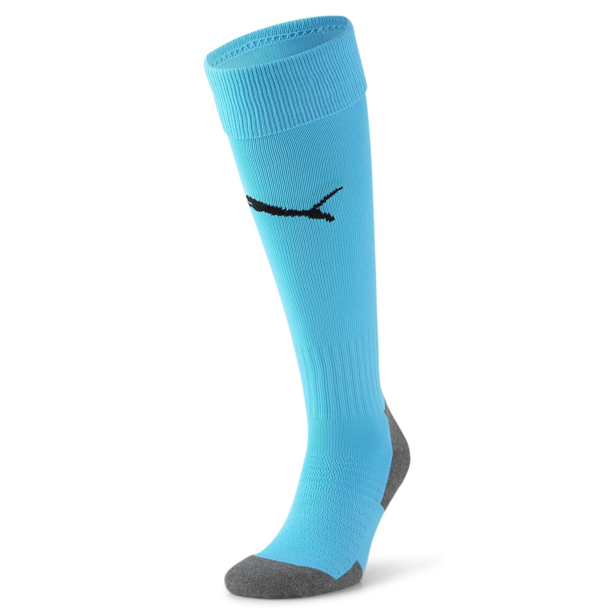 Puma teamLIGA Core Socks
