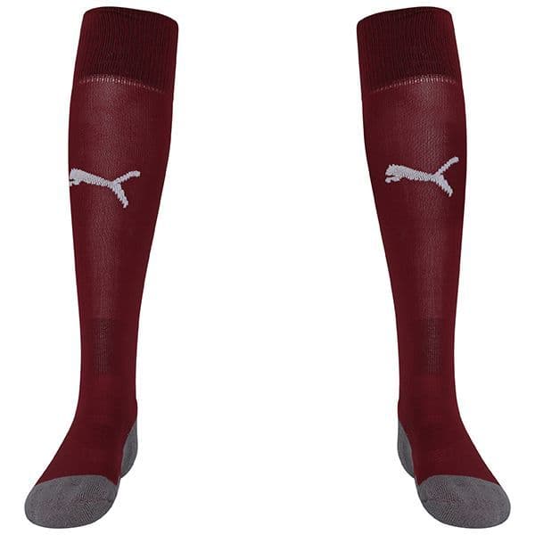 Puma teamLIGA Core Socks