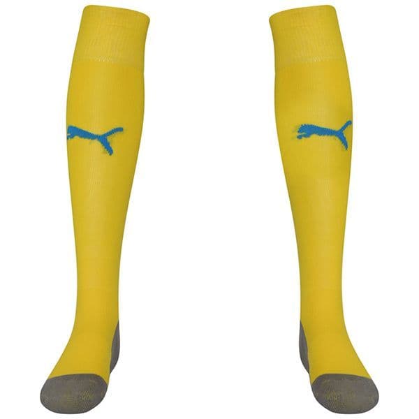 Puma teamLIGA Core Socks