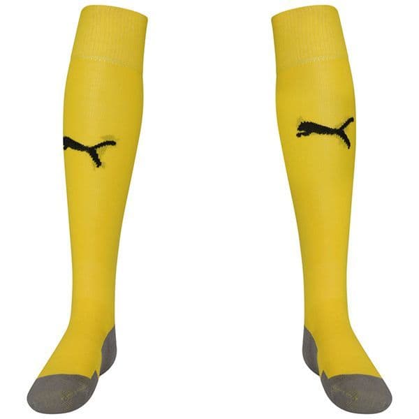Puma teamLIGA Core Socks