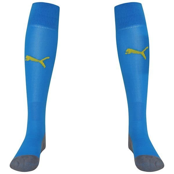 Puma teamLIGA Core Socks