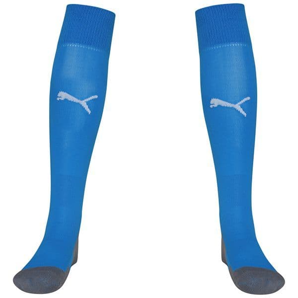 Puma teamLIGA Core Socks