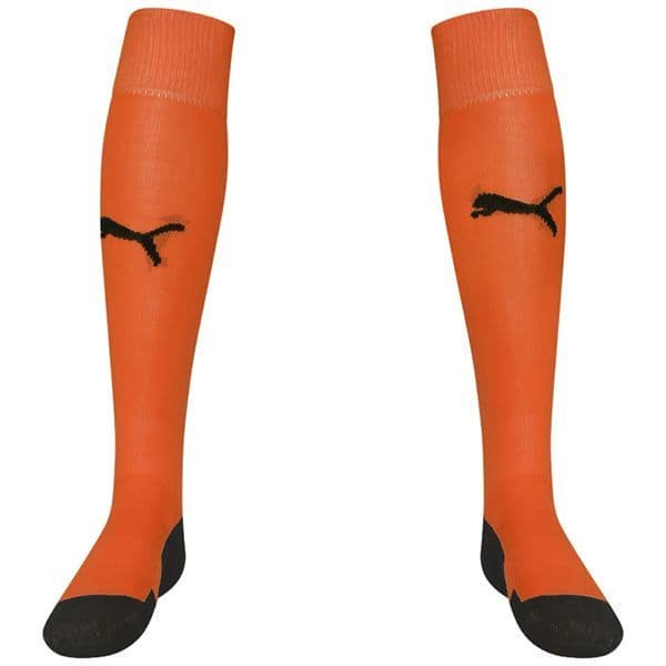 Puma teamLIGA Core Socks