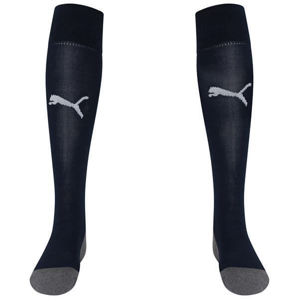Puma teamLIGA Core Socks