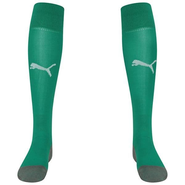 Puma teamLIGA Core Socks