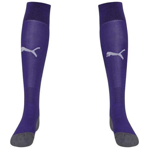 Puma teamLIGA Core Socks