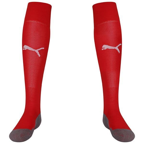 Puma teamLIGA Core Socks