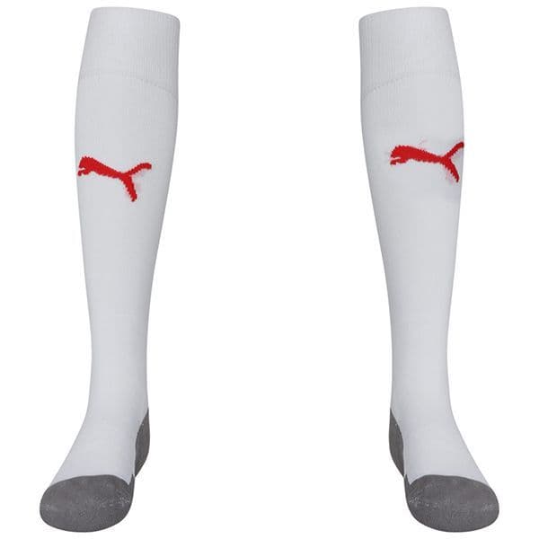 Puma teamLIGA Core Socks