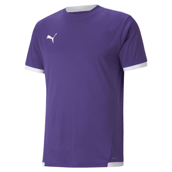 Puma teamLIGA Jersey