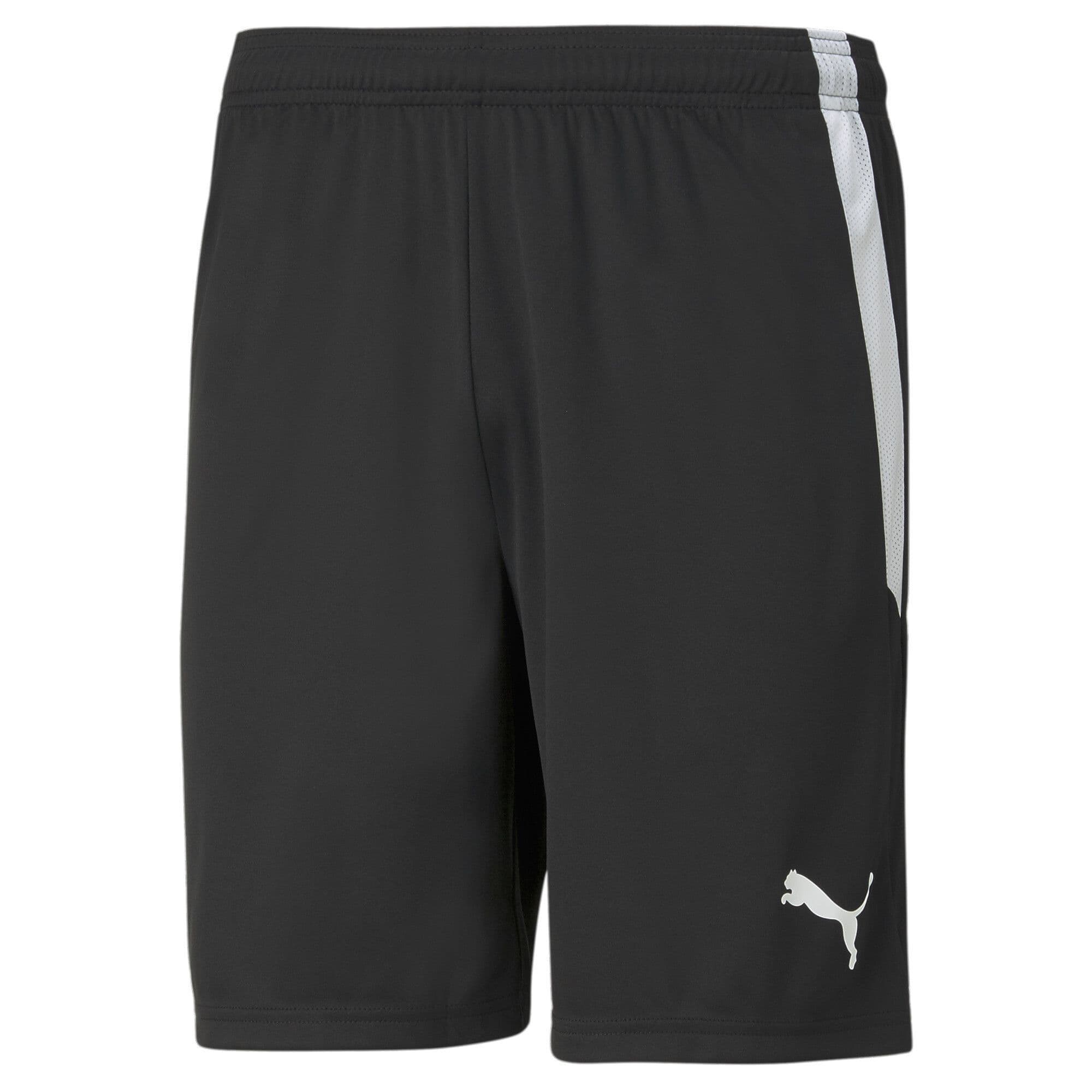 Puma teamLIGA Shorts