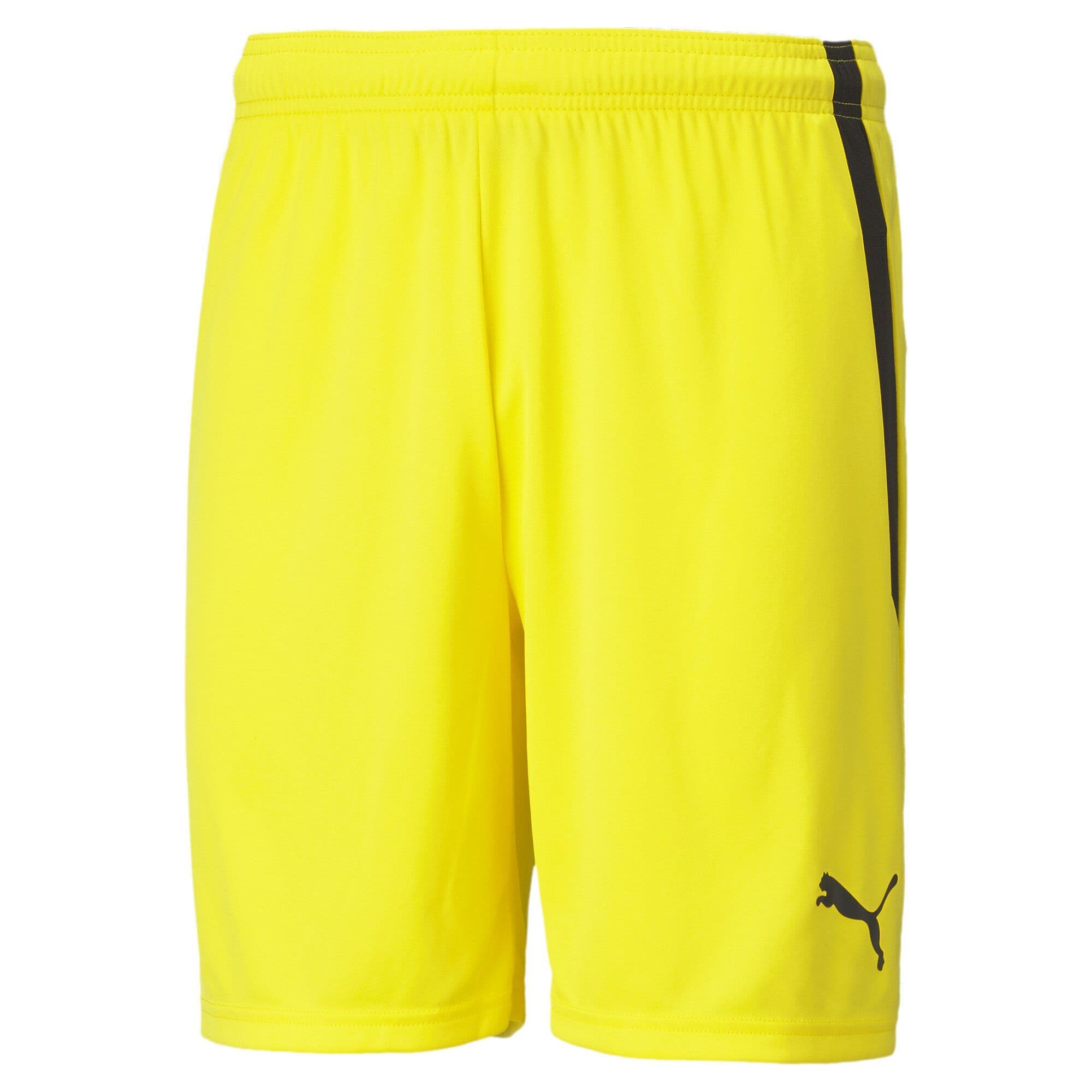 Puma teamLIGA Shorts